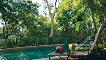 Outdoor pool, sun loungers