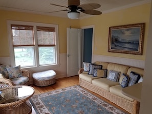 Smart TV, fireplace, books, music library