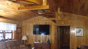 TV connectée, cheminée, livres, services de streaming