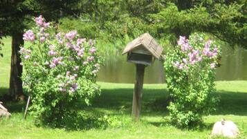 Área da propriedade