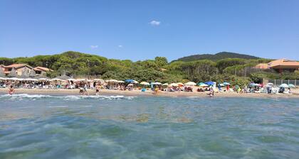 SPECIAL OFFER FOR THE MONTH OF SEPTEMBER / OCTOBER