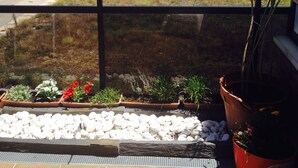 Un balcón con vistas a un paisaje urbano, que incluye calles y edificios. Hay plantas en macetas y un lecho de guijarros blancos en el suelo del balcón.