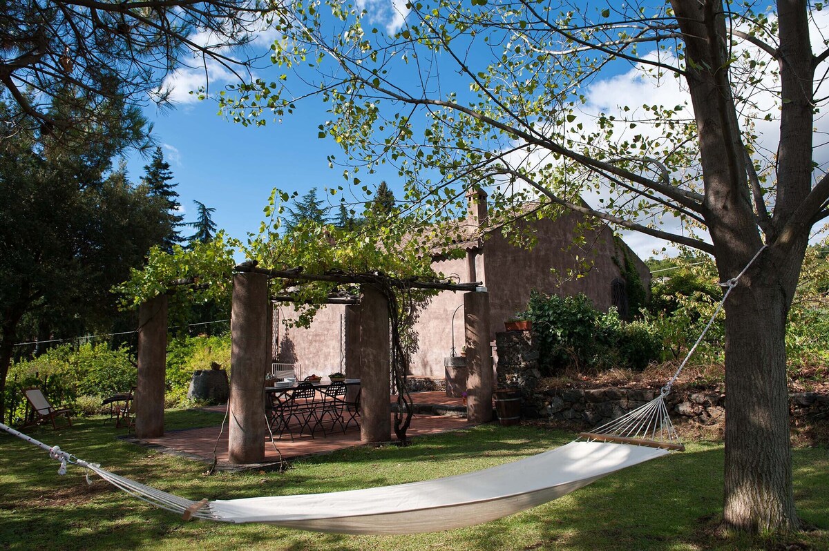 Imagen de perfil del propietario o de la propietaria