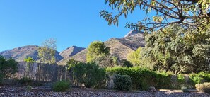 Property grounds - Superb, quiet property with private swimming pool (no neighbors) + various games (Alhaurin El Grande)