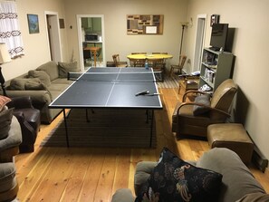 TV, fireplace, video games, DVD player