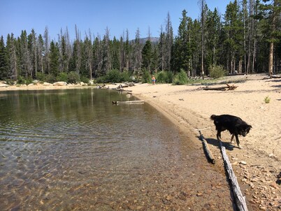 Heart Of The Big Hole!  Comfy Cabin For Your Fishing/hunting/mountain Adventures