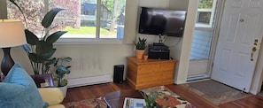 A living room with a TV, wooden cabinet, potted plants, and a door.