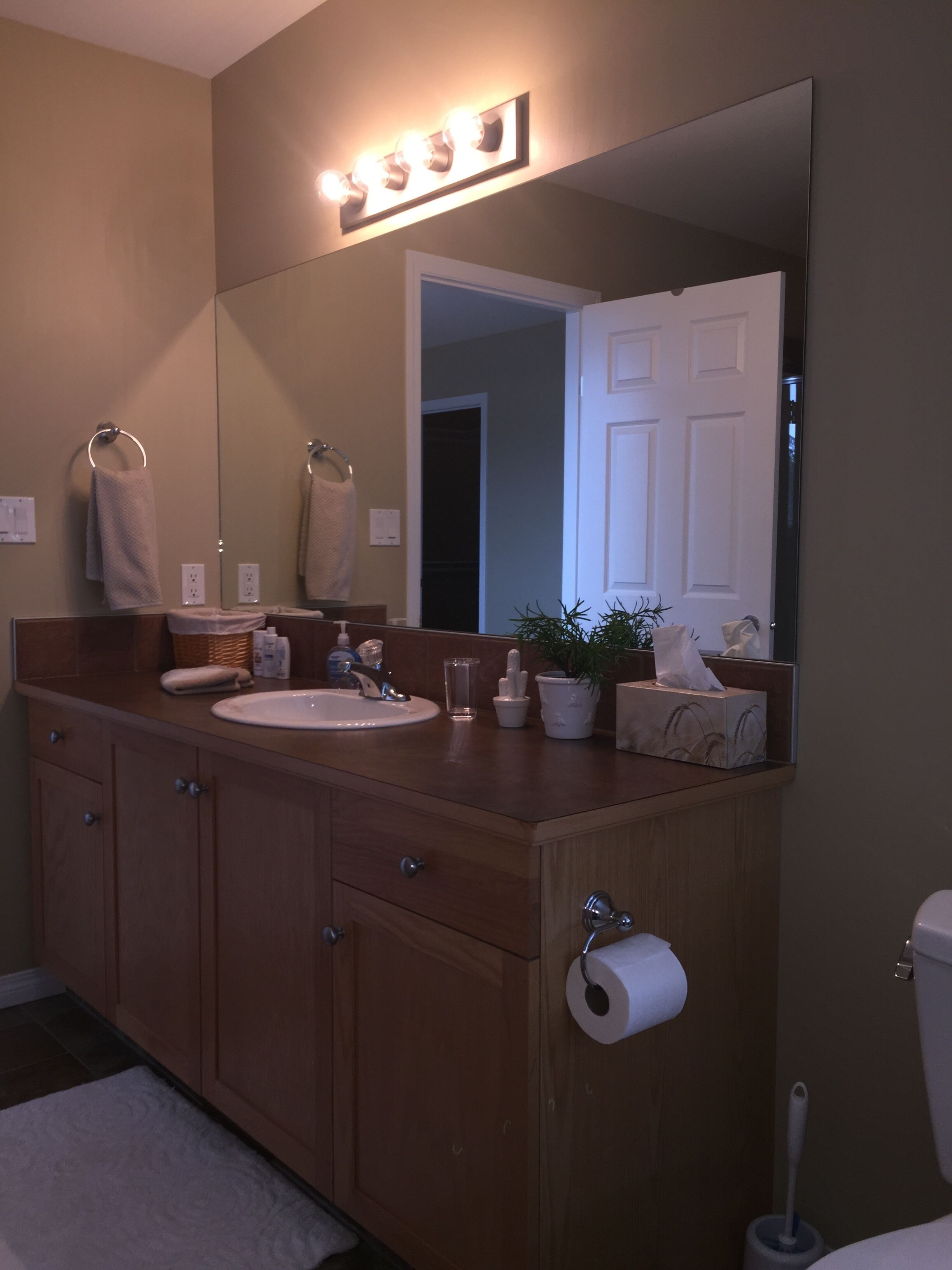 A bathroom with a wooden vanity, two sinks, a mirror, a towel ring, a potted plant, a toilet paper holder, and a door leading to another room.