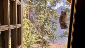 A window with a view of a forest and a mountain. - Rustic Waterfront Log Cabin (Kaslo)