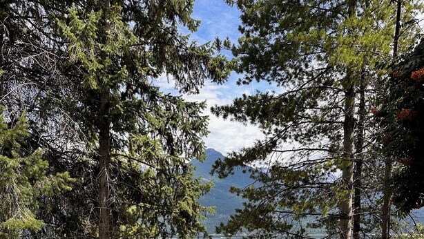 A wooden staircase leading to a lakeside area with a view of a mountain in the background. - Rustic Waterfront Log Cabin (Kaslo)