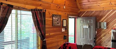 TV connectée, cheminée, livres