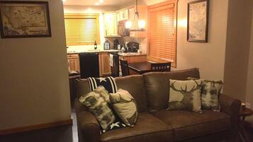 Fladskærms-tv, pejs, Netflix, dvd-afspiller