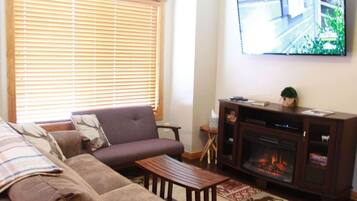 Fladskærms-tv, pejs, Netflix, dvd-afspiller