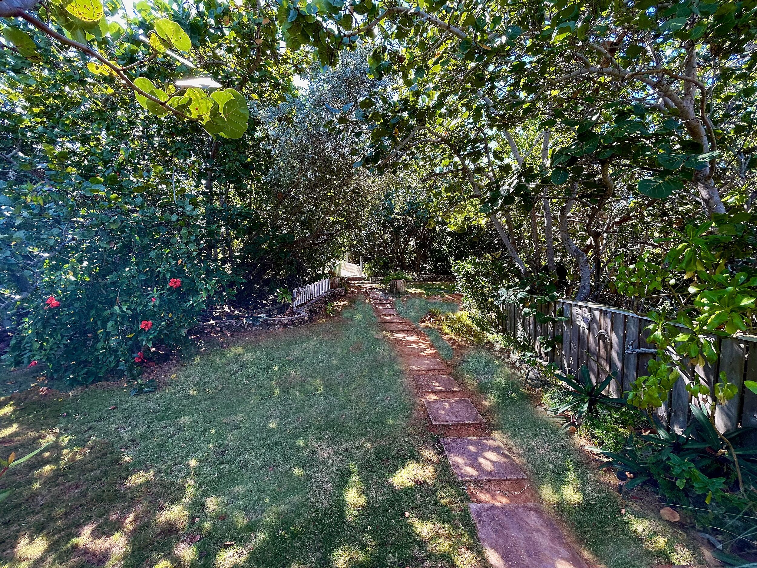A garden pathway with a wooden fence and lush greenery.
