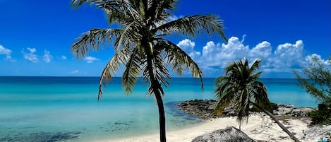 Beach nearby, sun-loungers, beach towels