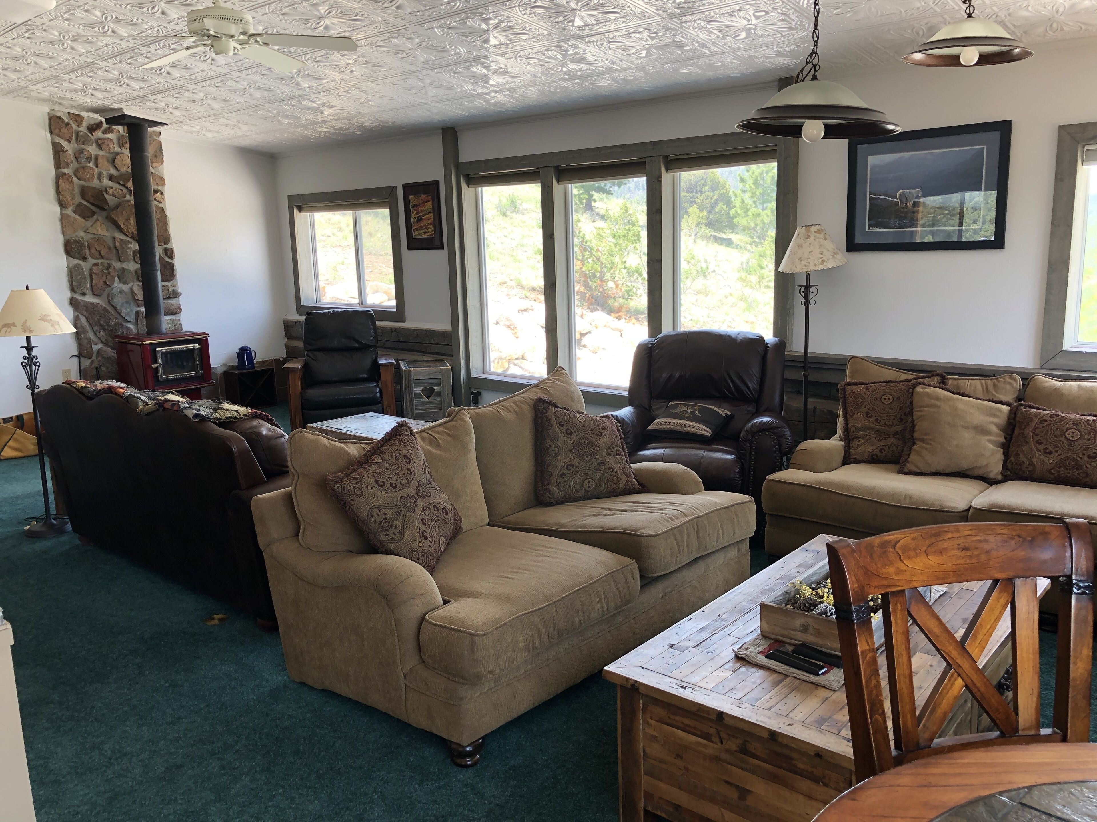 TV connectée, cheminée, lecteur de DVD, livres