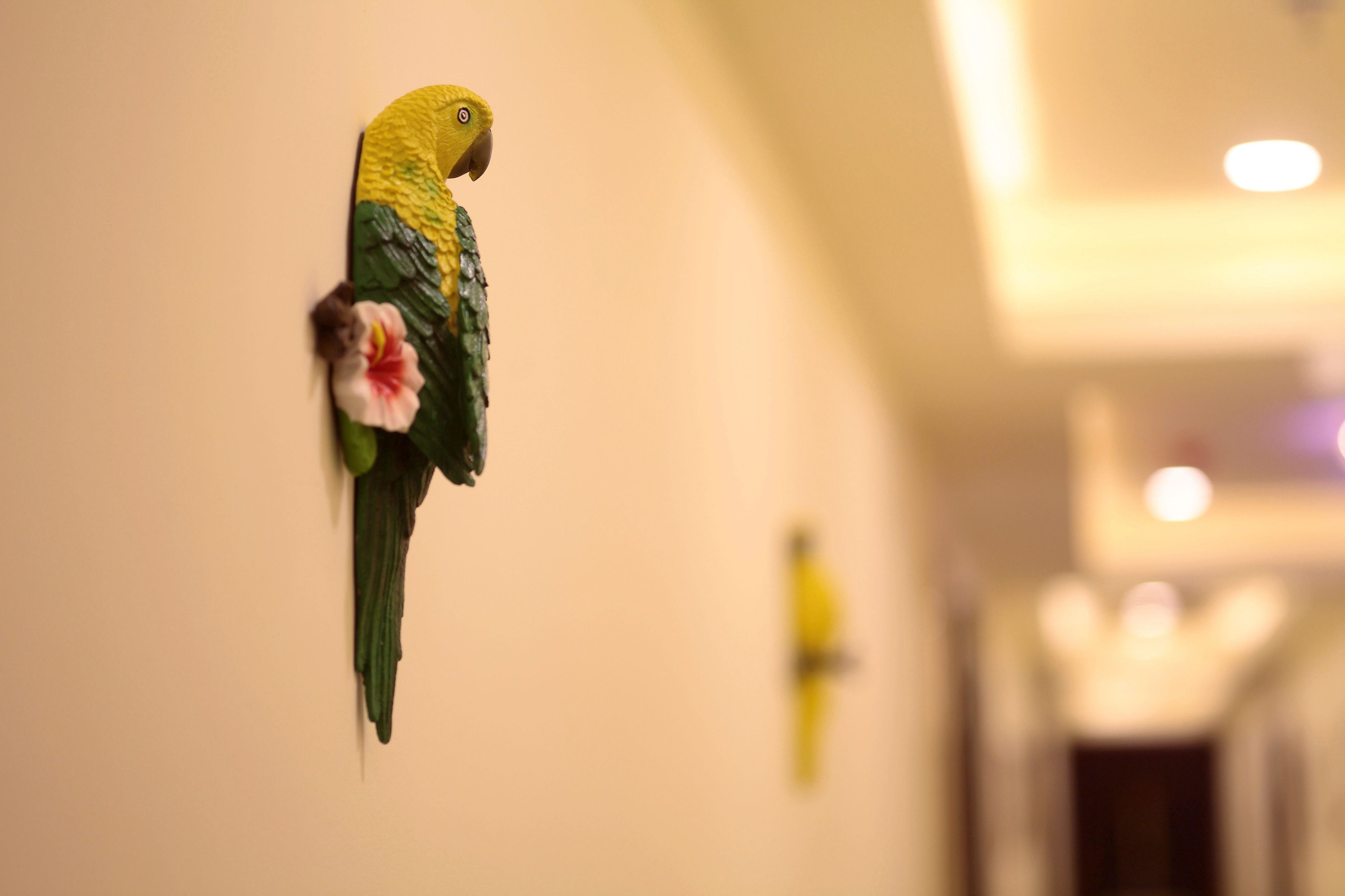 A parrot perched on a wall, with a blurred background suggesting an indoor setting.