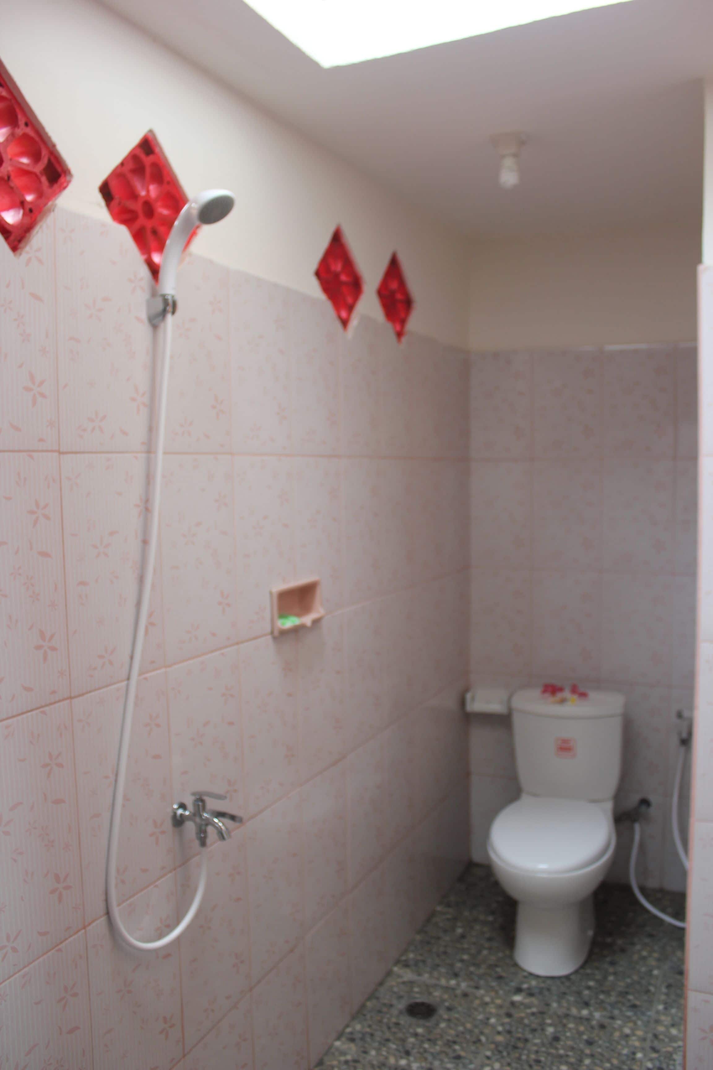 A bathroom with a shower, toilet, and a small shelf.