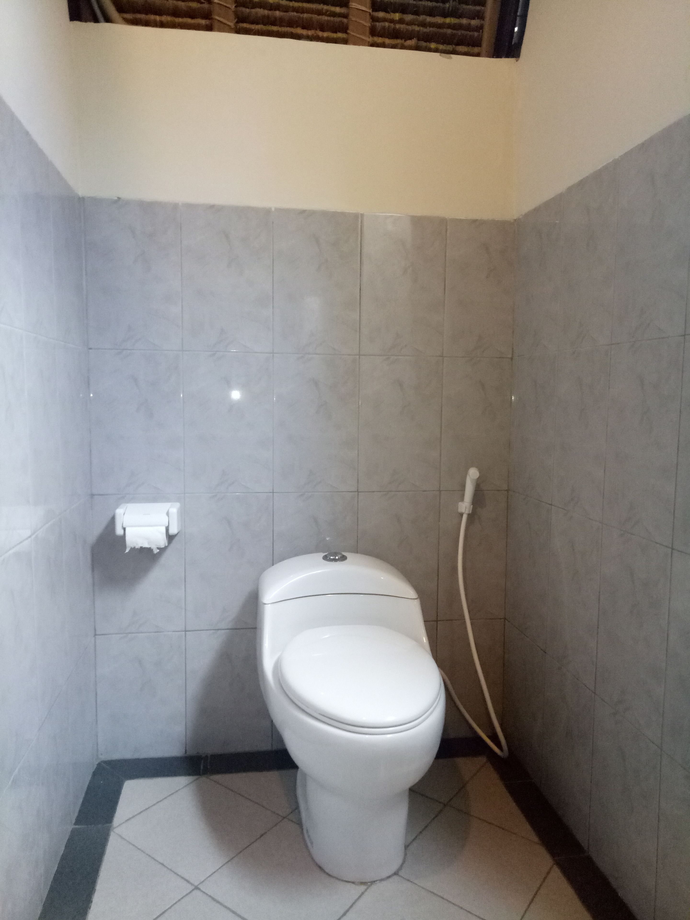 Casa de banho pequena e limpa, com sanita, dispensador de toalhas de papel e manguira de chuveiro.