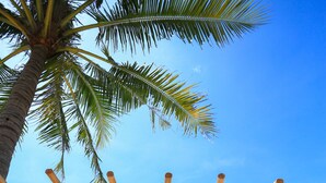 A beach with a hammock, a wooden structure, and a palm tree.