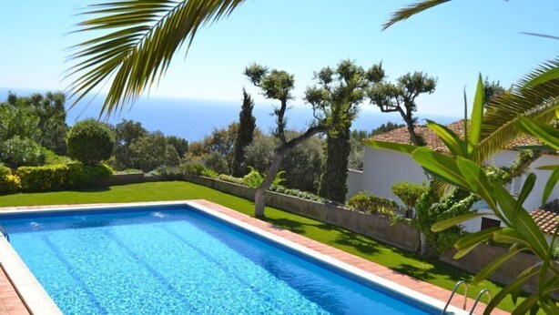 A rectangular swimming pool with clear blue water, surrounded by a well-maintained lawn and various trees. - Holiday rental apartment with swimming pool in Begur, Aiguablava (Begur)