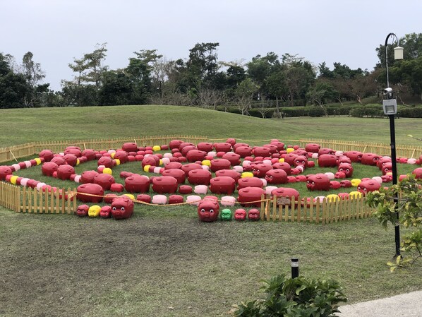 A circular arrangement of large, colorful, round objects in a grassy area, surrounded by a wooden fence.