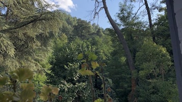 Habitación doble romántica | Cunas, camas extra, wifi gratis y ropa de cama