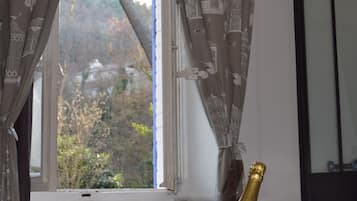 Comfort Double Room, 1 Katil Ratu (Queen) | Pemandangan dari bilik