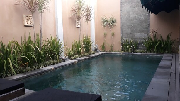 Ảnh chưa phân loại, 1 trong số 19 ảnh, nút