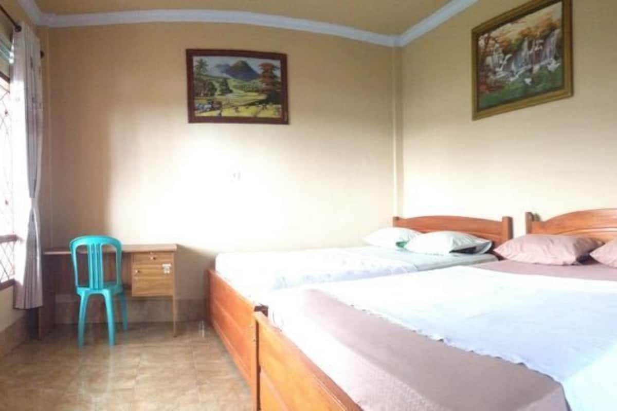 A bedroom with two beds, a desk, and a chair.