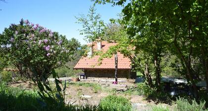 Ca' de l'Ase B&B