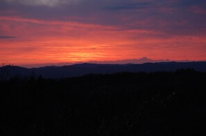 A sunset over a mountain range with a silhouette of trees in the foreground. - Ca' de l'Ase B&B (Giusvalla)