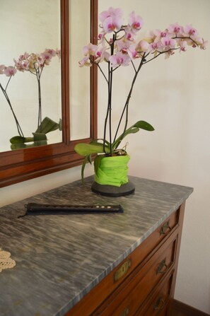 A potted orchid on a marble countertop with a mirror reflecting the plant. - Ca' de l'Ase B&B (Giusvalla)