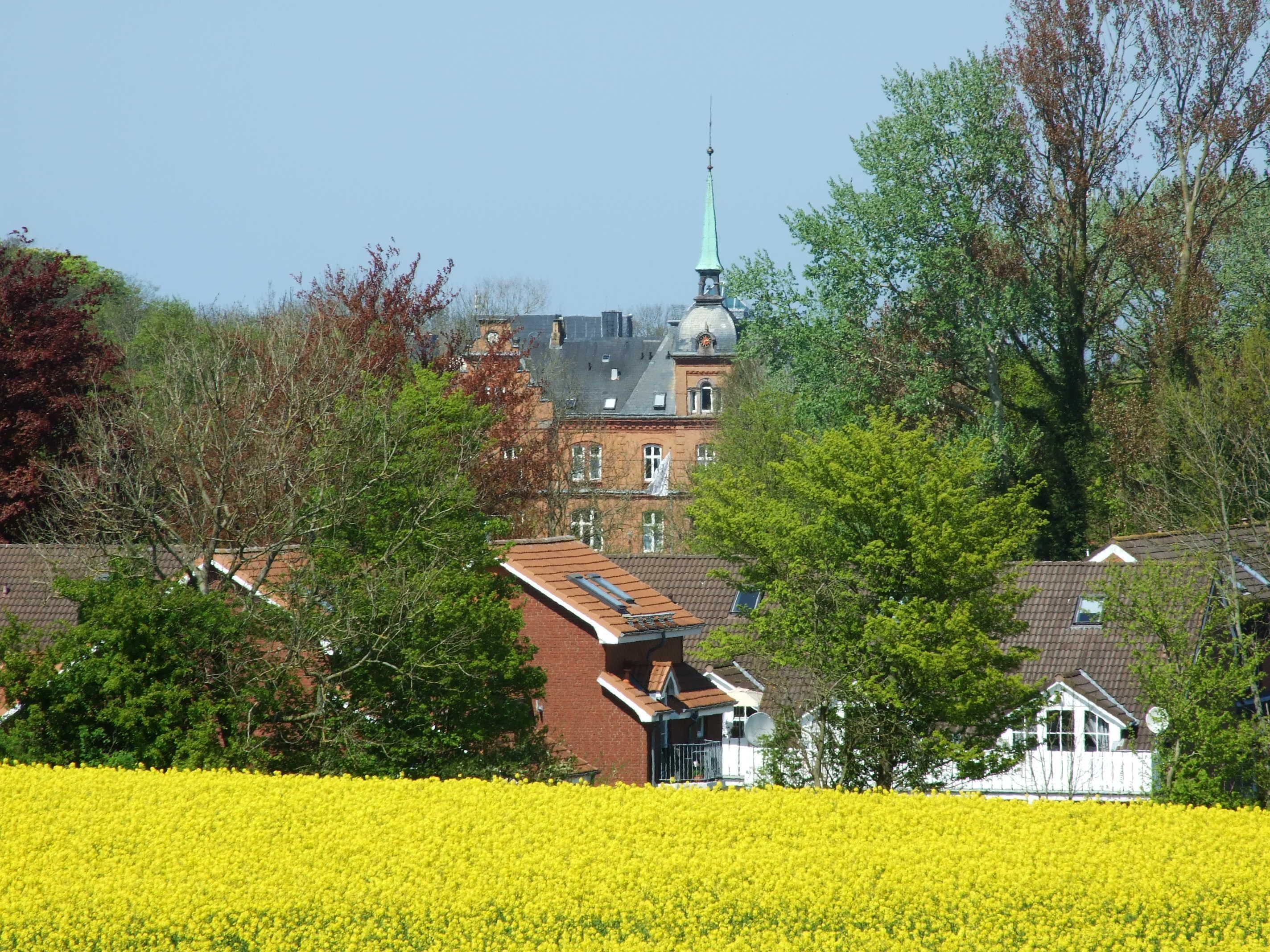 Un bâtiment surmonté d’une flèche verte, entouré d’arbres et d’un champ de fleurs jaunes.