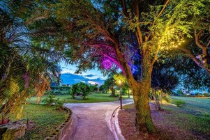 Un sendero atraviesa un parque con árboles y una farola.