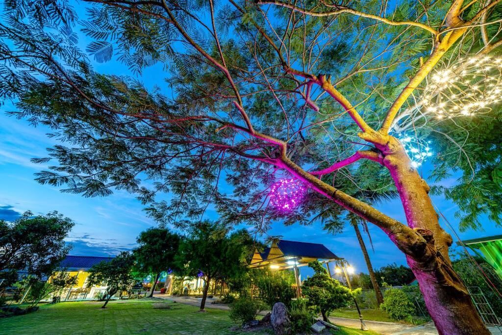 A tree with a unique lighting feature, a well-maintained lawn, and a building with a blue roof in the background.