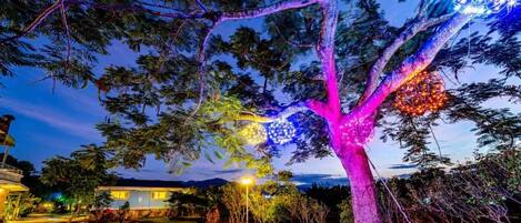 A tree with illuminated decorations against a twilight sky.