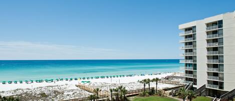 Plage, chaises longues