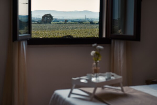 View from room - Tenute Delogu (Sassari)