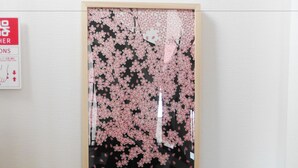 Une pièce dotée d’une porte coulissante ornée de motifs de fleurs de cerisier et représentant deux chiens de dessin animé.