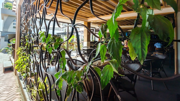 Bar (trong khuôn viên)
