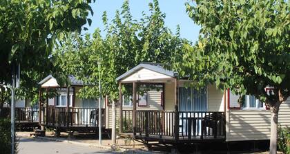 Camping Fayón Fishing