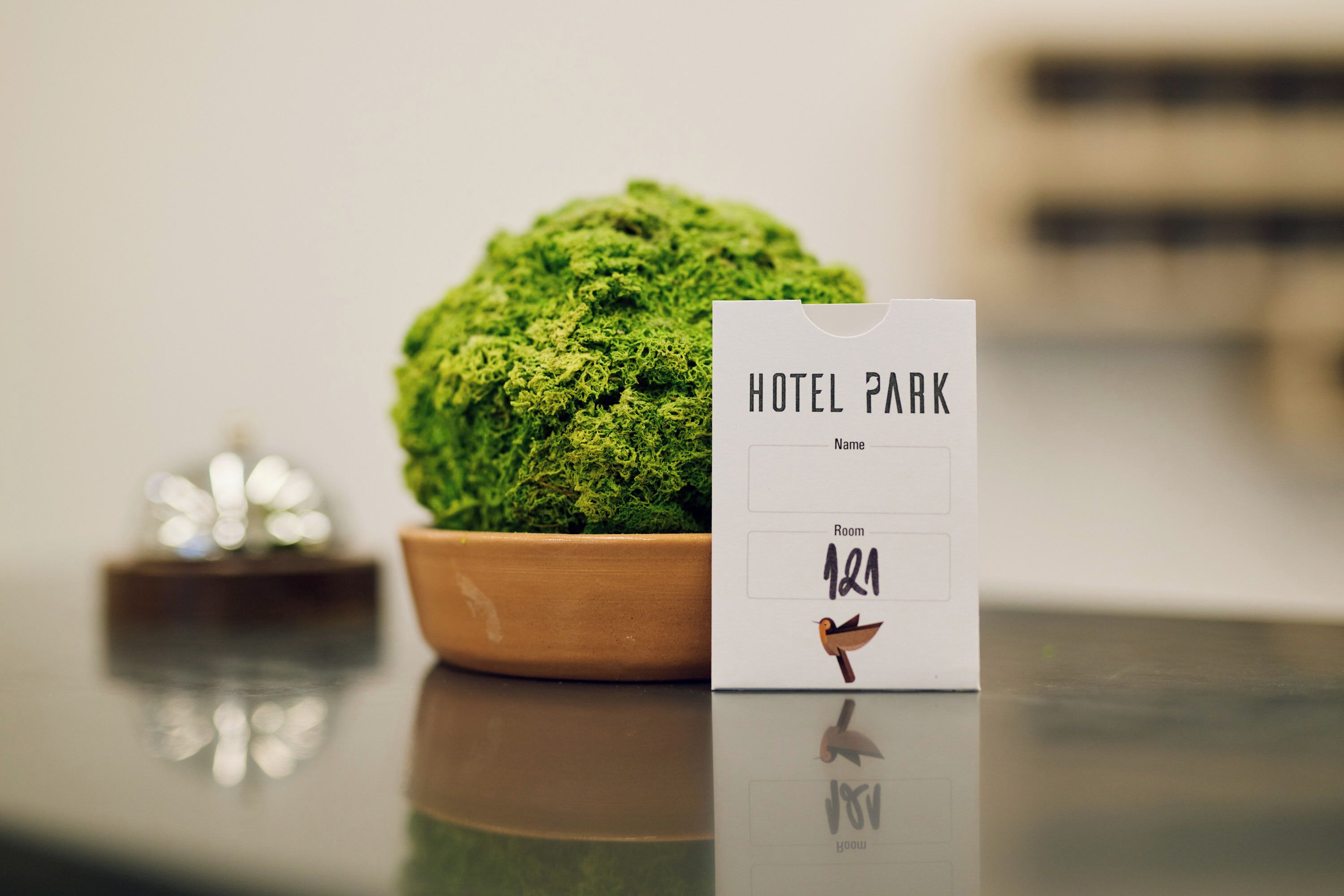 Uma planta em vaso e um cartão de quarto de hotel com o nome "Hotel Park" e o número do quarto "121".