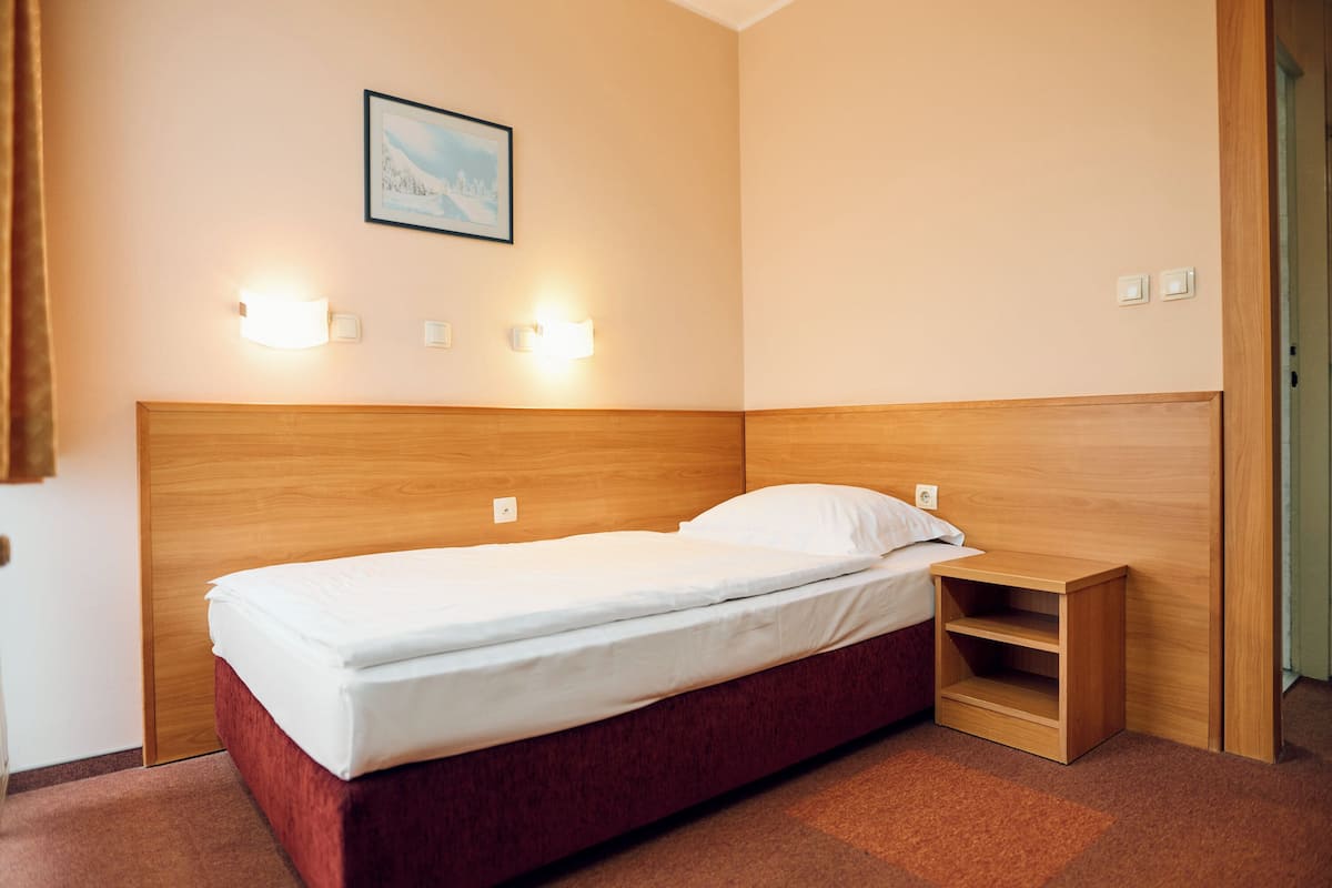 Classic Single Room, 1 Twin Bed | Desk, blackout drapes, WiFi (free), bed sheets
