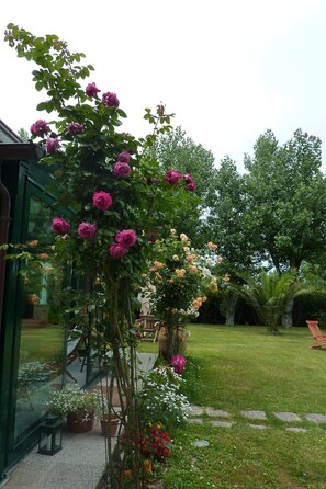 Terrein van de accommodatie