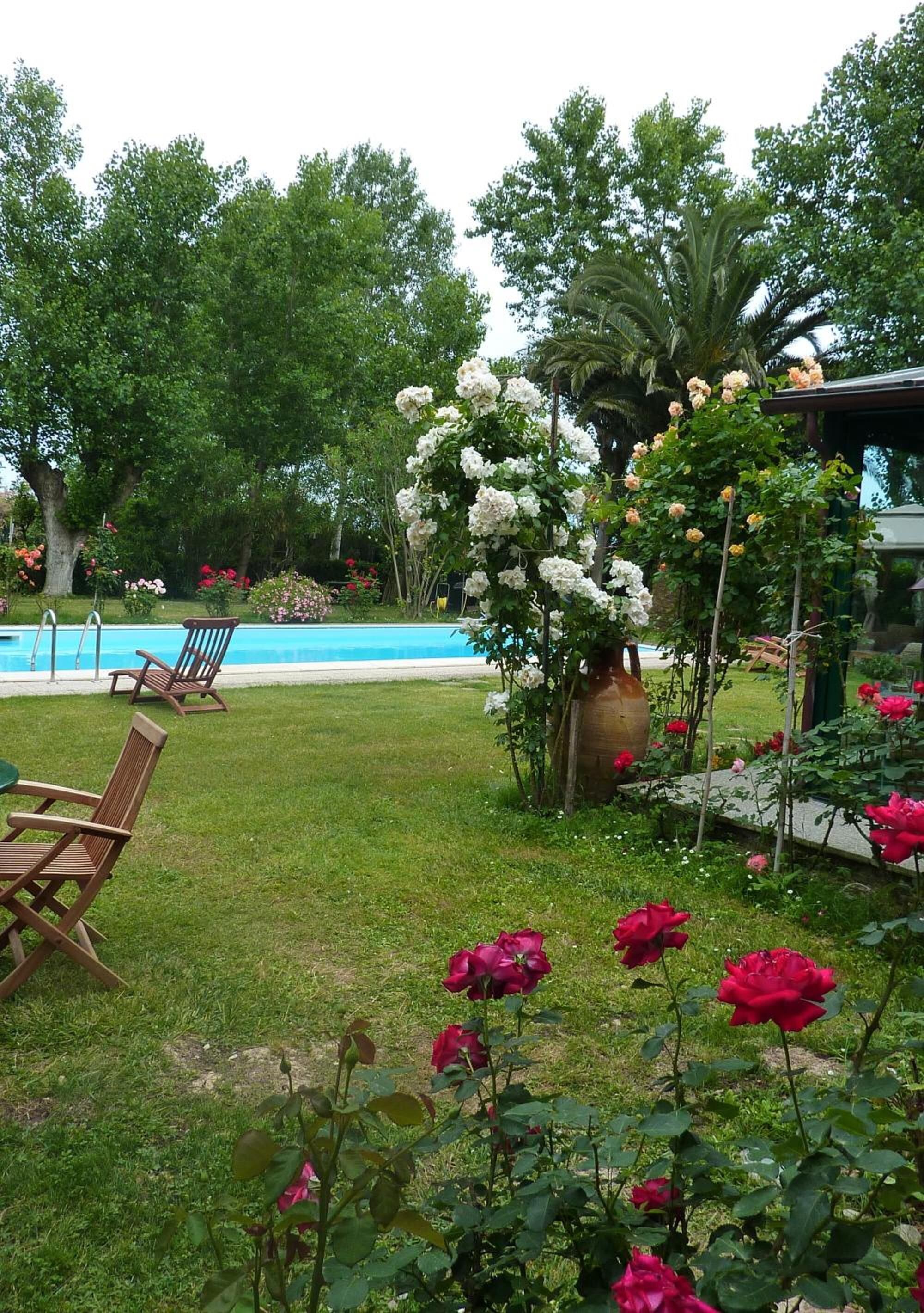 A garden with a pool, wooden chairs, and a large vase with flowers.