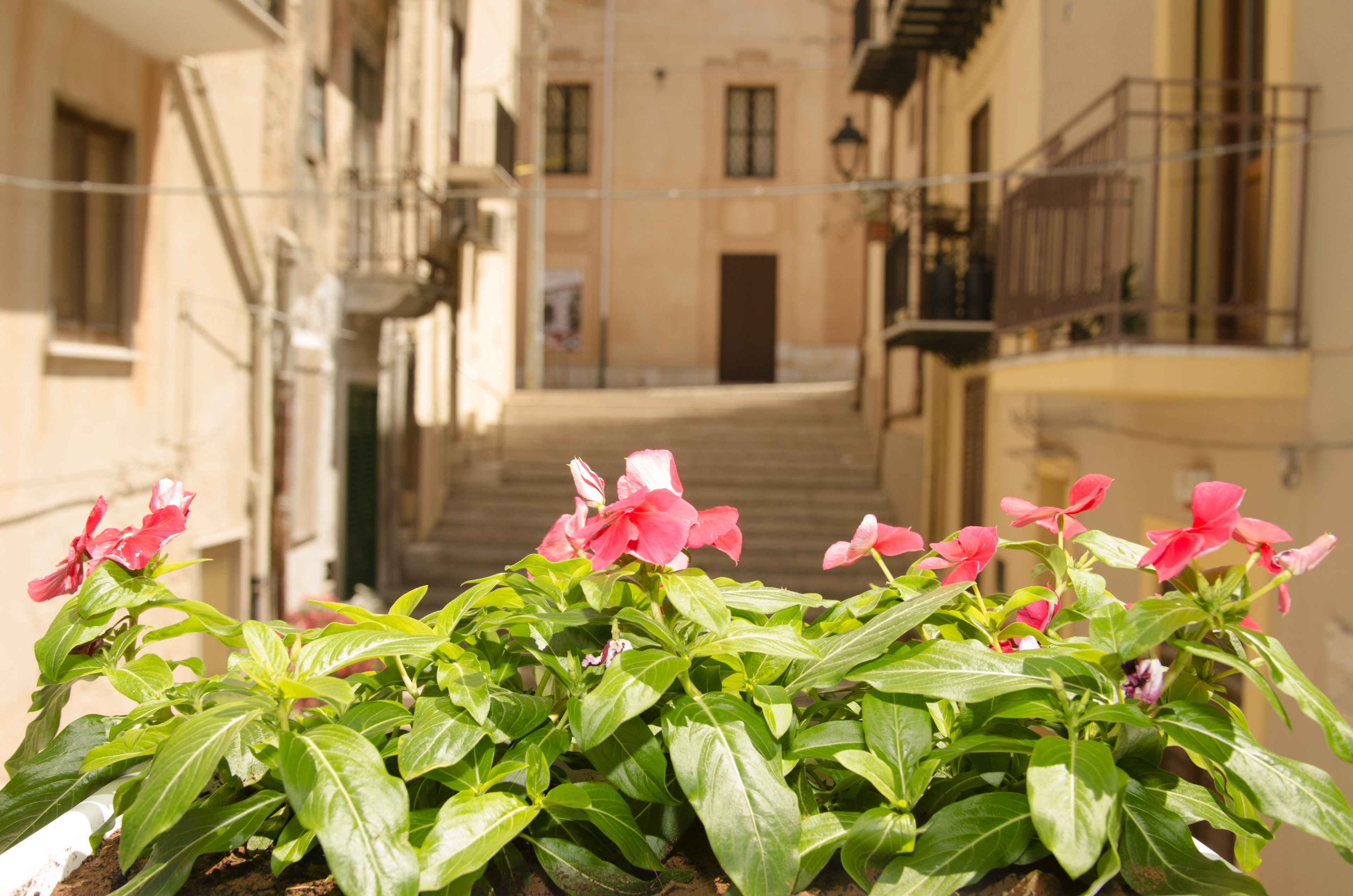 Vista dalla struttura