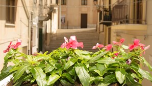 A narrow street with buildings on either side, a staircase, and a balcony with a railing. - B&B Nencioli (Castellammare del Golfo)