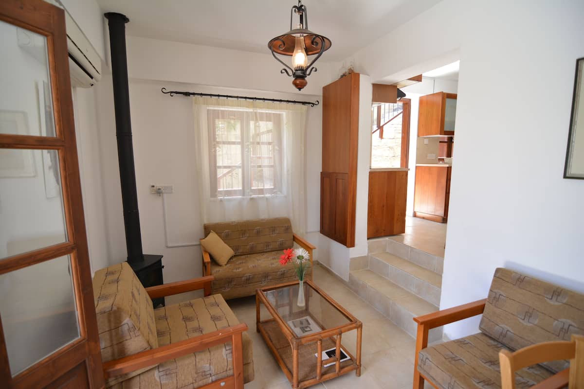 Standard Apartment | Living room | Flat-screen TV, fireplace