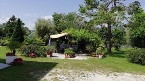 Ein Garten mit einer Holzkonstruktion, umgeben von verschiedenen Pflanzen und Bäumen.